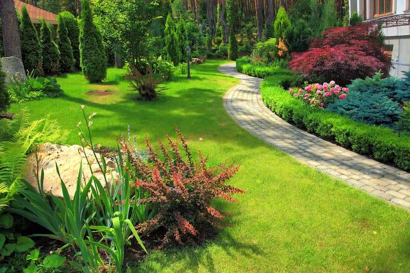 Sustainable Landscaping: Redefining Professional Landscape Design for the Future